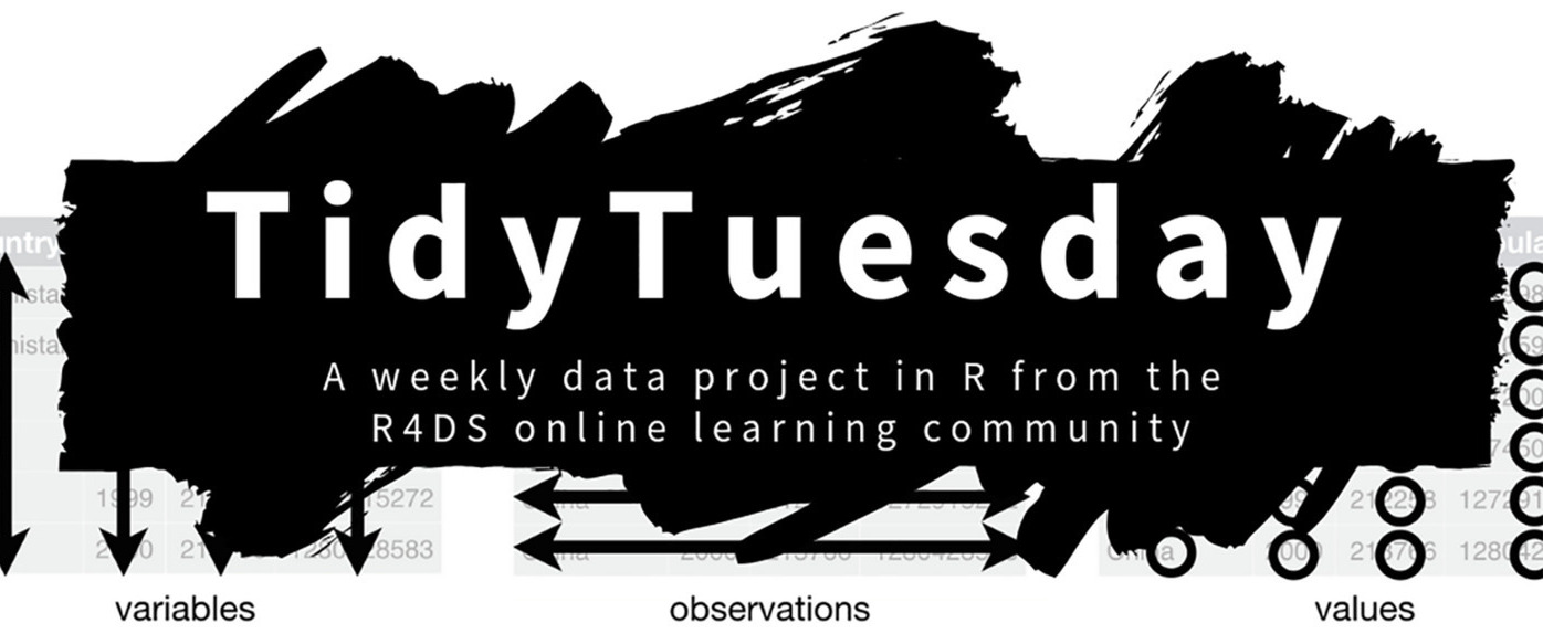 The logo for Tidy Tuesday