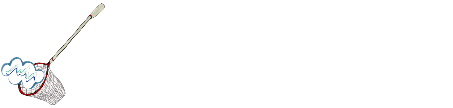 artoon of a net capturing a cloud